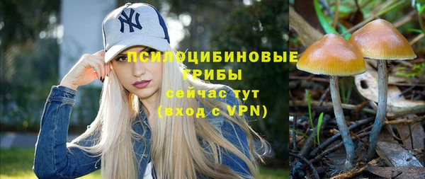ALPHA-PVP Белокуриха