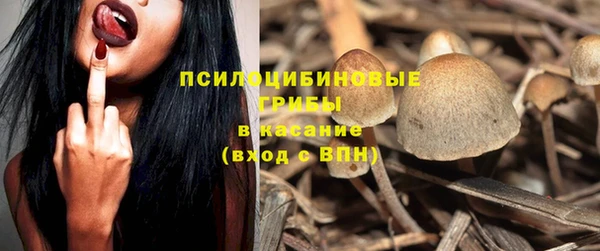 ALPHA-PVP Белокуриха